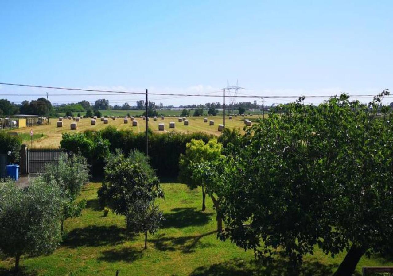 Eco House San Michele Hostel Borgo San Michele  ภายนอก รูปภาพ